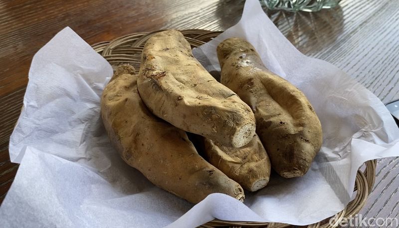 Cilembu sweet potato is native to Sumedang