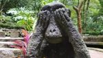 Main Air Sekaligus Berkawan dengan Monyet di Air Terjun Tlogo Muncar