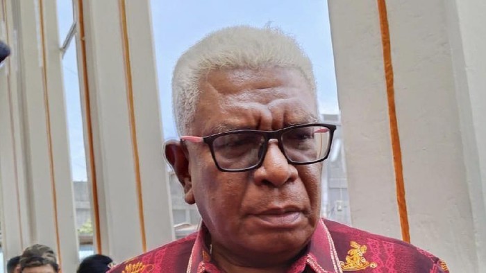 Wakil Bupati Mimika Johannes Rettob