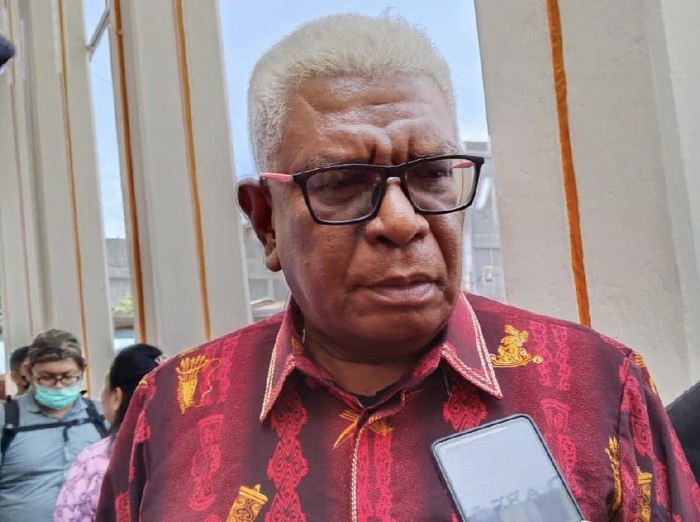 Wakil Bupati Mimika Johannes Rettob.