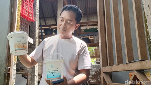 Warga di Desa Pemecutan Klod Denpasar sekaligus orang tua asuh nyamuk wolbachia, Made Ari (37), Senin (20/11/2023). (Ni Made Lastri Karsiani Putri-detikBali)