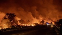 Angin yang bertiup kencang dalam sekejap telah membuat api semakin membesar. Suara api melahap pepohonan berpadu dengan raungan mesin pompa air yang dipacu untuk mengalirkan air dari kanal perkebunan sawit untuk segera menghentikan menjalarnya si jago merah.