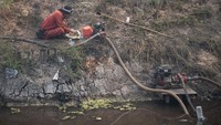 Area kebun sawit yang cukup luas dan tidak terkelola menyebabkan banyaknya pohon kering sehingga menjadi bahan bakar yang melimpah. Kondisi itu diperparah dengan angin yang sangat kencang, gambut yang dalam, dan sumber air untuk pemadaman semakin berkurang.  