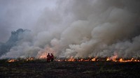 Berdasarkan data Kementerian Lingkungan Hidup dan Kehutanan (KLHK) luas lahan yang terbakar di seluruh Indonesia periode Januari - Oktober 2023 seluas 994.313,18 ha yaitu 154.429,92 ha merupakan lahan gambut sedangkan 839.883,36 ha lahan mineral atau non gambut dengan jumlah titik api mencapai 10.090 titik. Khusus di Provinsi Sumatera Selatan, lahan yang terbakar seluas 109.460,7 ha yaitu meningkat drastis jika dibandingkan sebelumnya, Januari-September 2023 seluas 32.496,5 ha dan Januari-Agustus 2023 seluas 4.082,8 ha.  