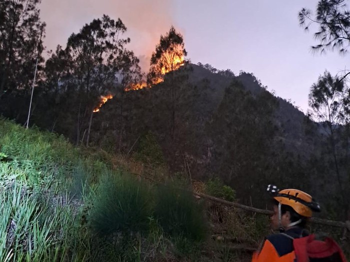 Hutan di Gunung Panderman Kota Batu terbakar. APi diduga dari sambaran petir.