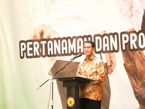 Tingkatkan Produksi Padi & Jagung, Mentan Dorong Pemanfaatan Lahan Rawa