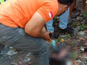 Miris! Mayat Bayi Hancur di Pinggir Jalan, Diduga Dibuang-Dilindas Kendaraan