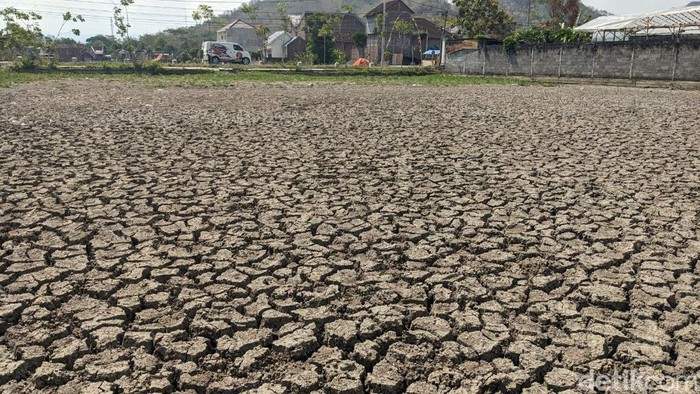 Mulai Hujan, 40 Desa di Trenggalek Masih Alami Krisis Air