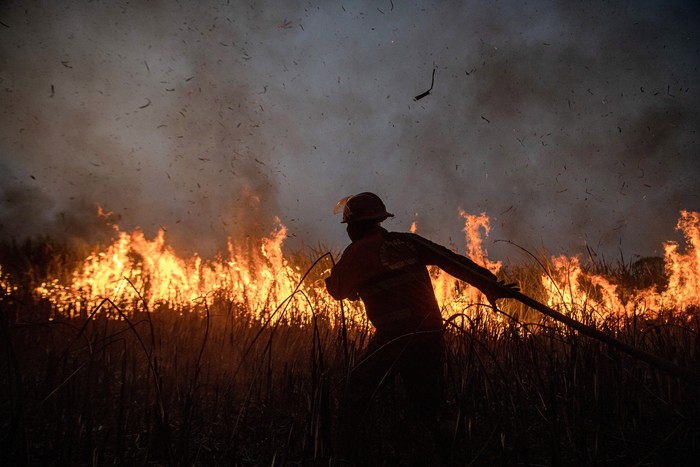 Foto kolase petugas Manggala Agni saat melakukan pemadaman kebakaran hutan dan lahan