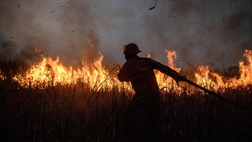 Foto kolase petugas Manggala Agni saat melakukan pemadaman kebakaran hutan dan lahan