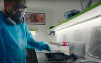 Pabrik nyamuk super wolbachia