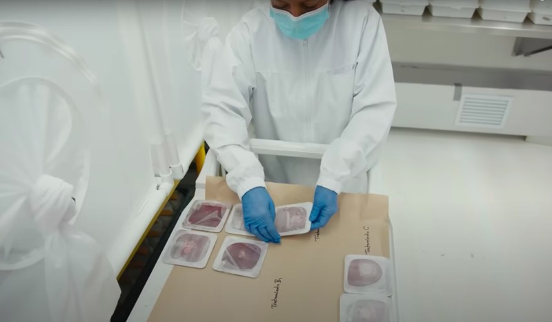 Pabrik nyamuk super wolbachia