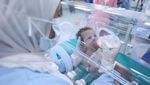 Potret Puluhan Bayi Prematur Palestina Berhasil Dievakuasi ke Mesir