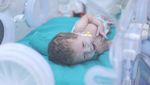 Potret Puluhan Bayi Prematur Palestina Berhasil Dievakuasi ke Mesir