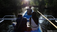 Untuk sekali sewa kapal dalam sehari, kamu akan dikenakan biaya sekitar Rp 300.000-350.000 per kapal. 