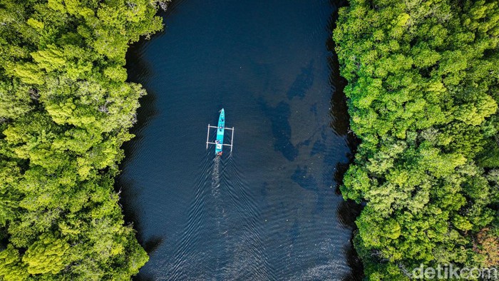 Serunya berpetualang menaiki boat seperti adegan di Petualangan Sherina 2 tak hanya bisa dilakukan di sungai Kalimantan. Travelers bisa menjajal pengalaman wisata seru ini di Desa Palaes, Kecamatan Likupang Barat, Kabupaten Minahasa Utara, Sulawesi Utara, sembari menyusuri hutan mangrove.