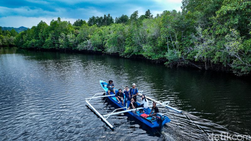 Serunya Naik Boat Susuri Hutan Mangrove di Desa Palaes