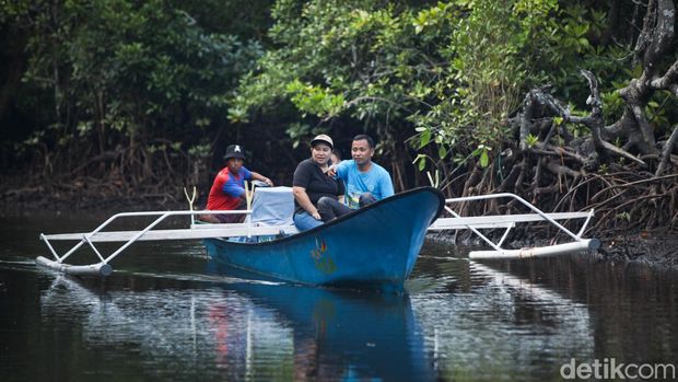 Serunya Naik Boat Susuri Hutan Mangrove di Desa Palaes