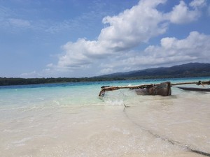 Kawasan Ujung Kulon Ditetapkan Jadi Geopark Nasional