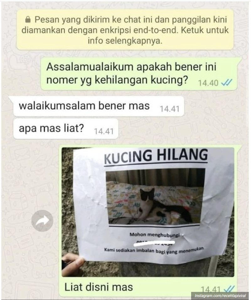 Chat absurd dan kocak ini mungkin akan menghibur harimu yang kelabu, setidaknya bikin senyum sedikit. Benar deh, ini aneh banget.