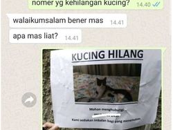 10 Chat yang Absurd Banget, Bikin Nyengir Sendiri