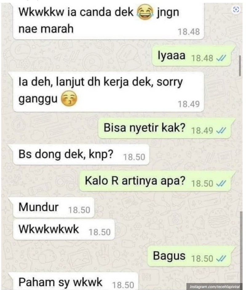 Chat absurd dan kocak ini mungkin akan menghibur harimu yang kelabu, setidaknya bikin senyum sedikit. Benar deh, ini aneh banget.