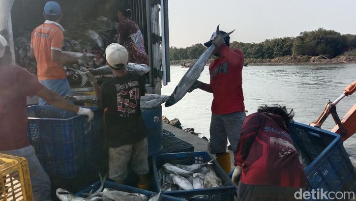 Aktivitas pelelangan ikan di muara laut Karangsong, Kecamatan Indramayu, Kabupaten Indramayu