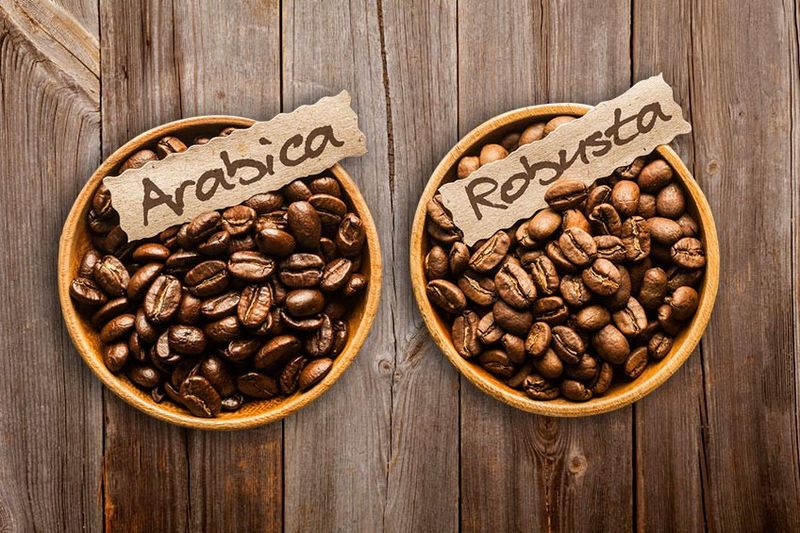 Antara Robusta dan Arabika, Mana Kopi yang Lebih Sehat?