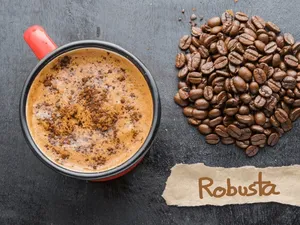 Penikmat Kopi, Ini 4 Manfaat Minum Kopi Robusta