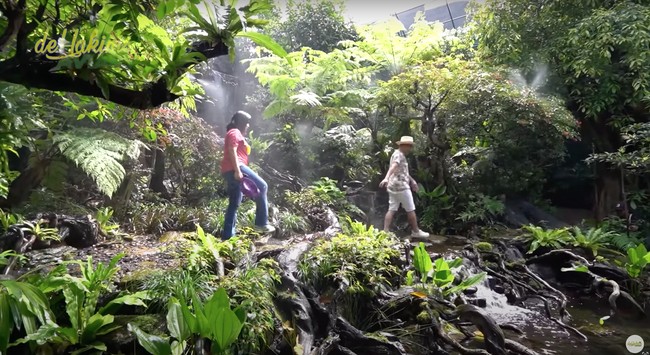 Dipenuhi dengan pohon-pohon hijau yang asri, aviary Irfan Hakim itu benar-benar terlihat superit layaknya hutan sungguhan. Berbagai jenis burung pun terdapat di sana. Foto: YouTube/deHakims Aviary