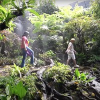 Dipenuhi dengan pohon-pohon hijau yang asri, aviary Irfan Hakim itu benar-benar terlihat superit layaknya hutan sungguhan. Berbagai jenis burung pun terdapat di sana. Foto: YouTube/deHakims Aviary