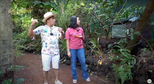 Beberapa burung juga ada yang masih berada di dalam kandang. Irfan mengatakan bahwa itu adalah proses habituasi atau pengenalan lingkungan. Karena jika burung yang baru datang langsung dilepas ditakutkan akan merasa stress dan mati. Foto: YouTube/deHakims Aviary