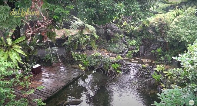 Di dalam aviary miliknya juga terdapat tempat untuk duduk bersantai dan menikmati pemandangan di sana. Ada juga ayunan gantung yang membuat momen bersantai semakin terasa nyaman. Foto: YouTube/deHakims Aviary
