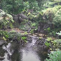 Di dalam aviary miliknya juga terdapat tempat untuk duduk bersantai dan menikmati pemandangan di sana. Ada juga ayunan gantung yang membuat momen bersantai semakin terasa nyaman. Foto: YouTube/deHakims Aviary