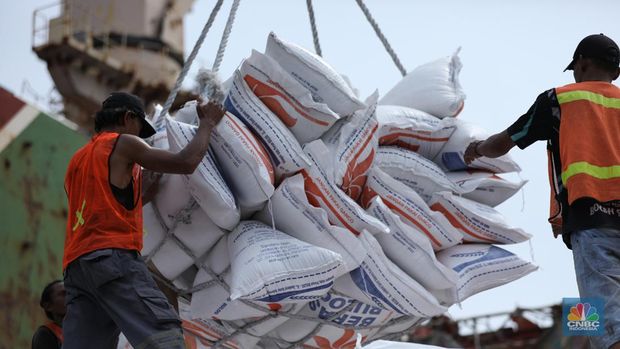 Sejumlah pekerja melakukan bongkar muat beras beras impor asal Vietnam tiba di Pelabuhan Tanjung Priok, Jakarta, Rabu (22/1/2023).  (CNBC Indonesia/Tri Susilo)