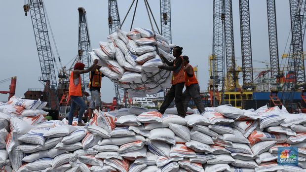 Sejumlah pekerja melakukan bongkar muat beras beras impor asal Vietnam tiba di Pelabuhan Tanjung Priok, Jakarta, Rabu (22/1/2023).  (CNBC Indonesia/Tri Susilo)