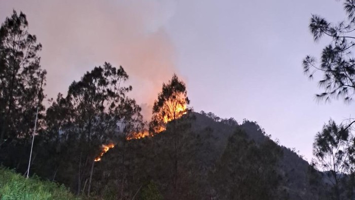 Kebakaran hutan di Gunung Panderman, Kota Batu.