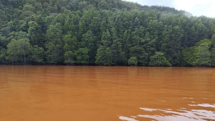 Kondisi perairan di Pulau Garaga, Kecamatan Obi, Halmahera Selatan menjadi keruh kecokelatan.