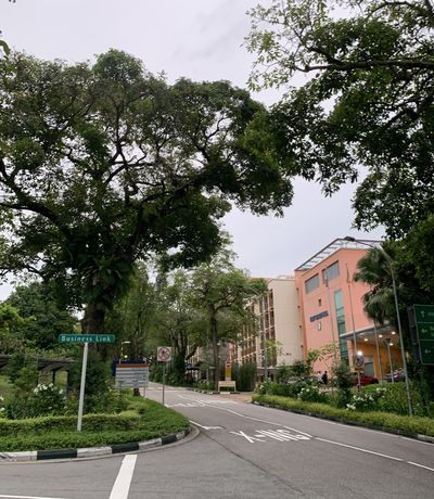 Lingkungan kampus NUS juga memiliki banyak ruang terbuka hijau