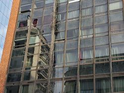 Deretan Foto yang Bikin Tim IT Kantor Menjerit