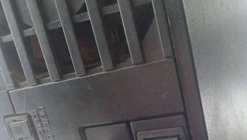 Bertaruh nyawa... Foto: Boredpanda