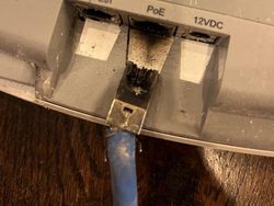 Deretan Foto yang Bikin Tim IT Kantor Menjerit