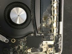 Deretan Foto yang Bikin Tim IT Kantor Menjerit