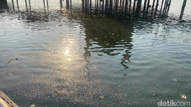 Pantai Losari