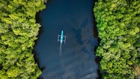 Desa Palaes yang terletak di Kabupaten Minahasa Utara, Provinsi Sulawesi Utara ini berada di wilayah pesisir dan memiliki hutan bakau (Rhizopora sp) seluas 35 hektare. Mangrove menjadi daya tarik Desa Palaes dan dijadikan objek wisata. Andhika Prasetia/detikcom.