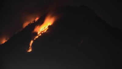 Penampakan Api Lalap Hutan dan Lahan di Gunung Panderman