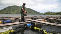 Sersan Mayor Ardi Wijaya memanfaatkan Danau Telaga Duma untuk budi daya berbagai jenis ikan nila dengan menggunakan sistem keramba apung itu sejak 2016 sekaligus memenuhi permintaan sejumlah rumah makan di Tobelo.  