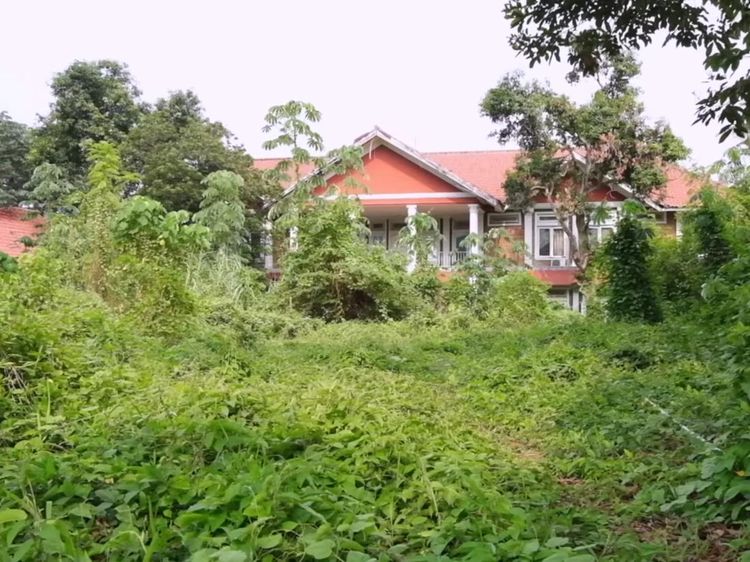 Foto Rumah Mewah Sinetron Azab Kini Kosong Banyak Tanaman Liar