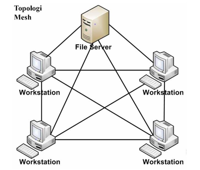 topologi mesh.