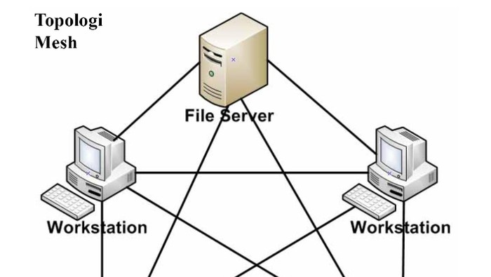 topologi mesh.